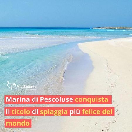 La Casetta Di Alice Torre Vado Bagian luar foto